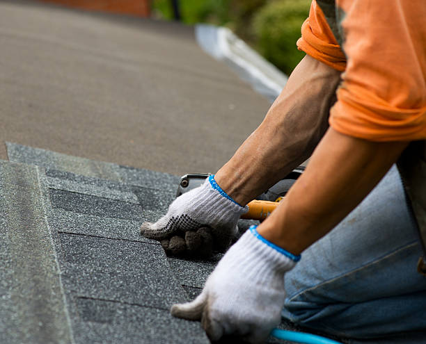 Gutter Installation and Roofing in Stanaford, WV